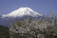 250427_富士山1