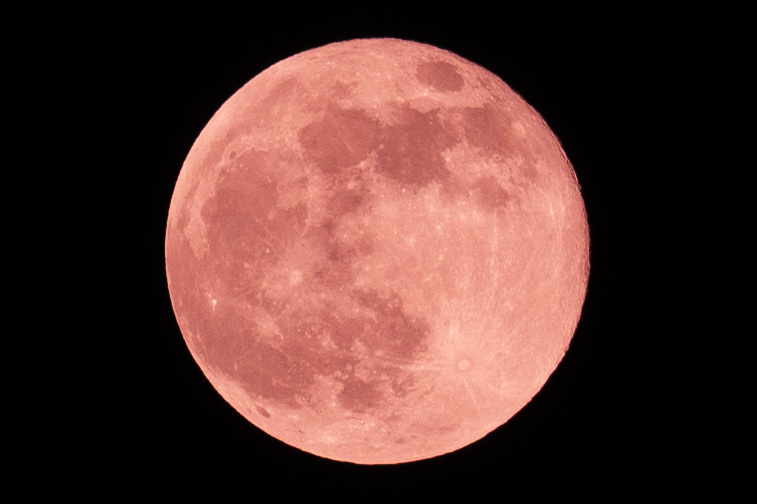 ピンクの満月