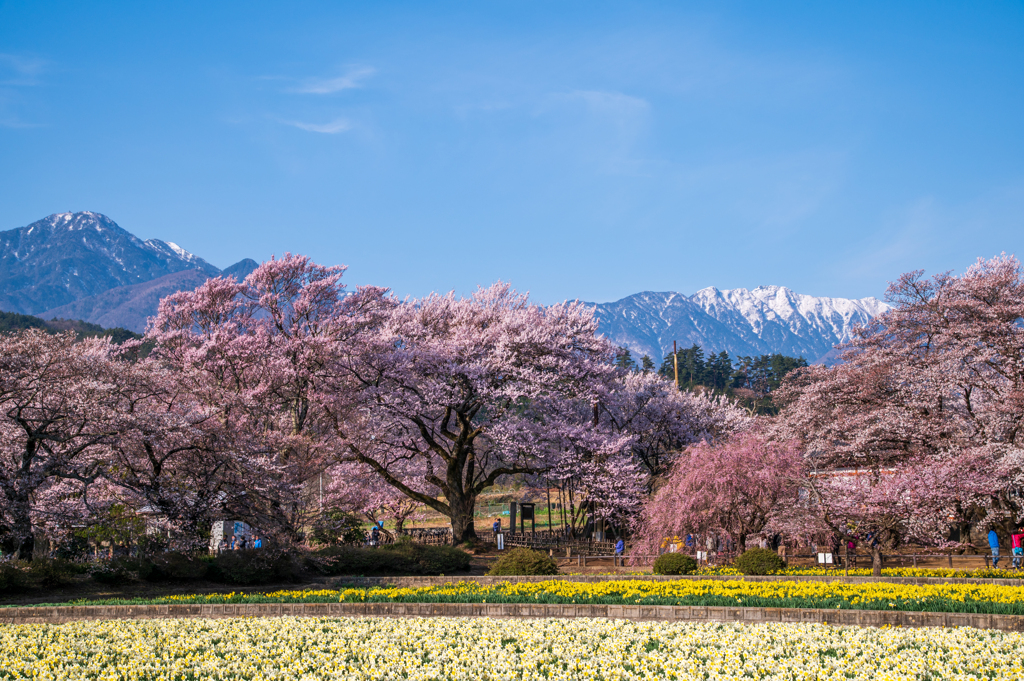 花花山