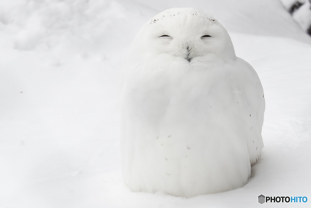 白すぎる（笑）