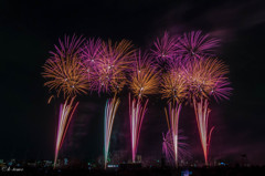 2014_たまがわ花火大会③