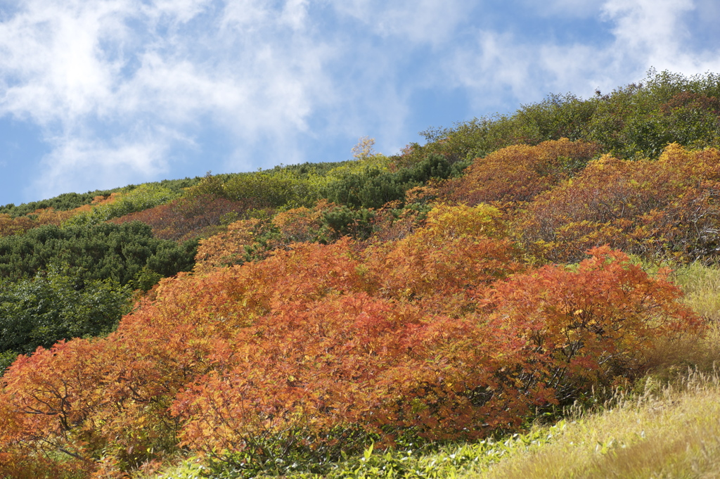 木曽御嶽山４