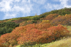木曽御嶽山４