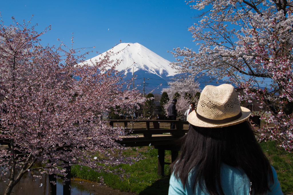 私も富士山が好きです！