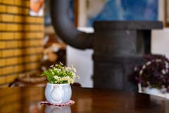 カフェにて