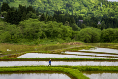 田園風景