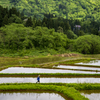 田園風景