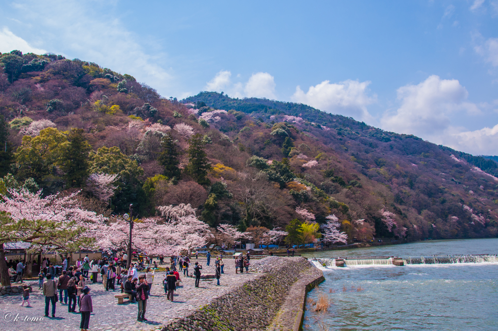 京都の春の思い出①