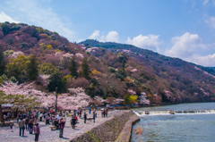 京都の春の思い出①