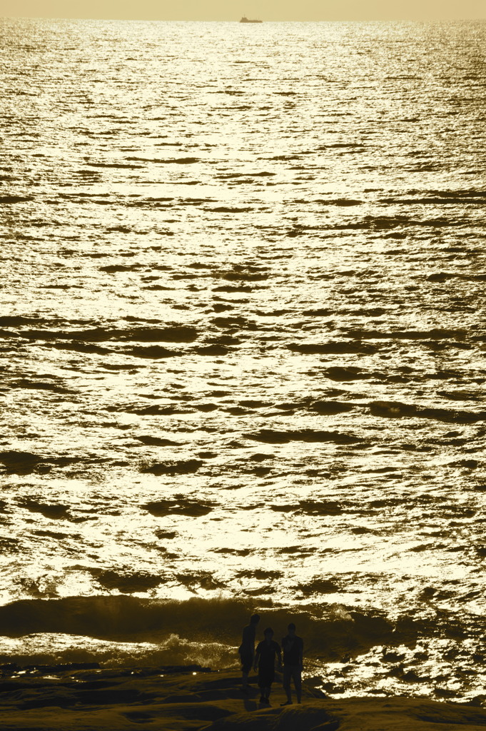 DSC_6208
