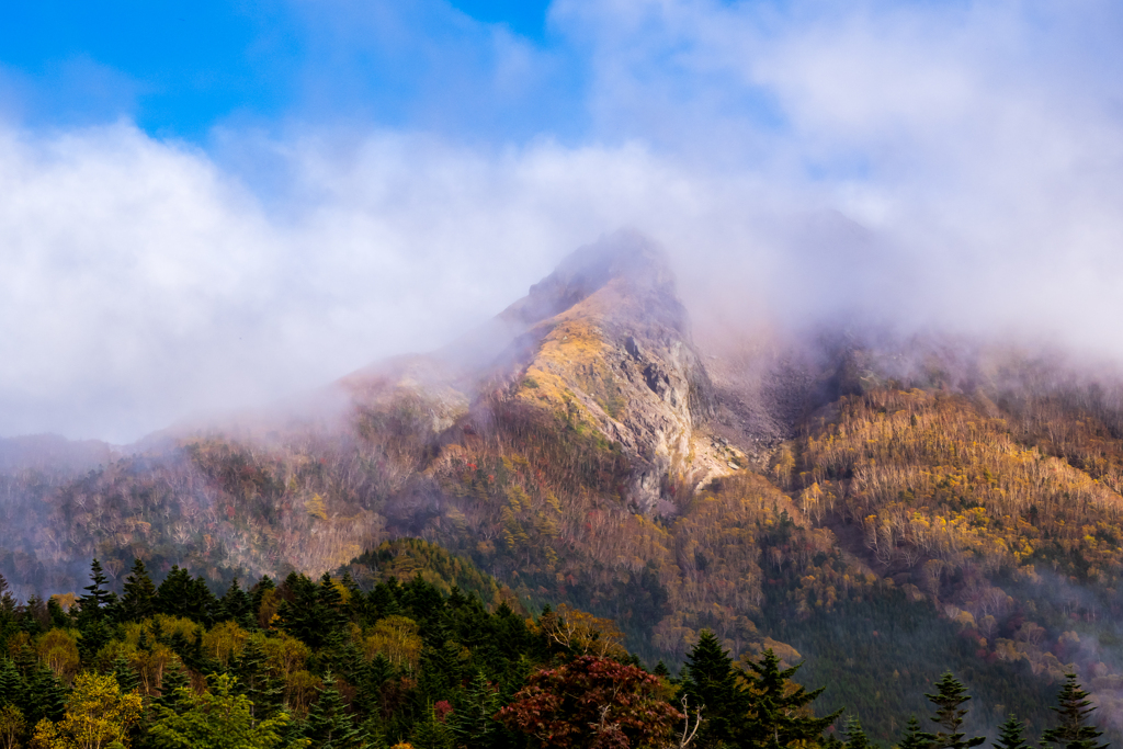 霧の白根山