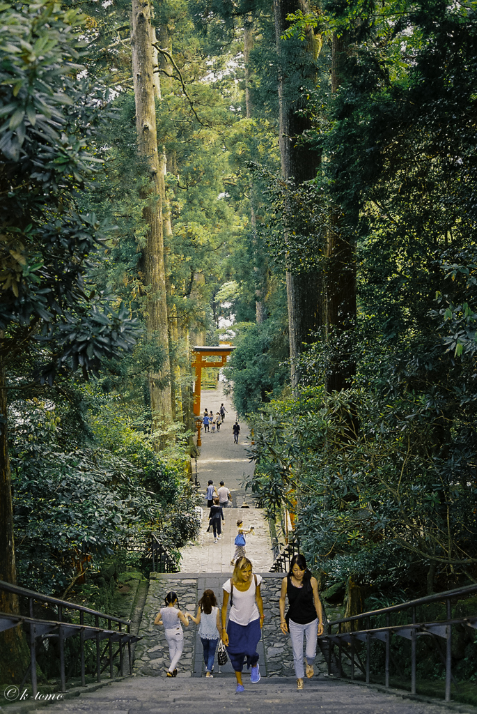 箱根神社②