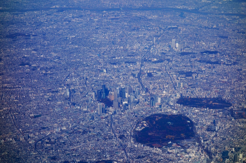 ここで暮らしてる