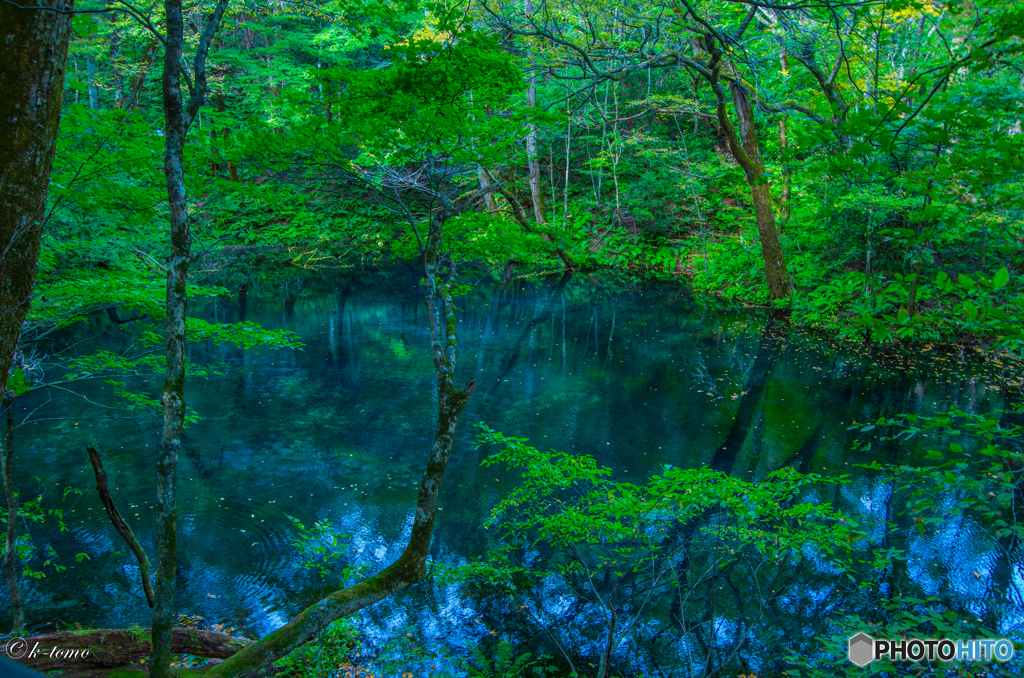 沸壺の池Ⅱ