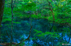 沸壺の池Ⅱ