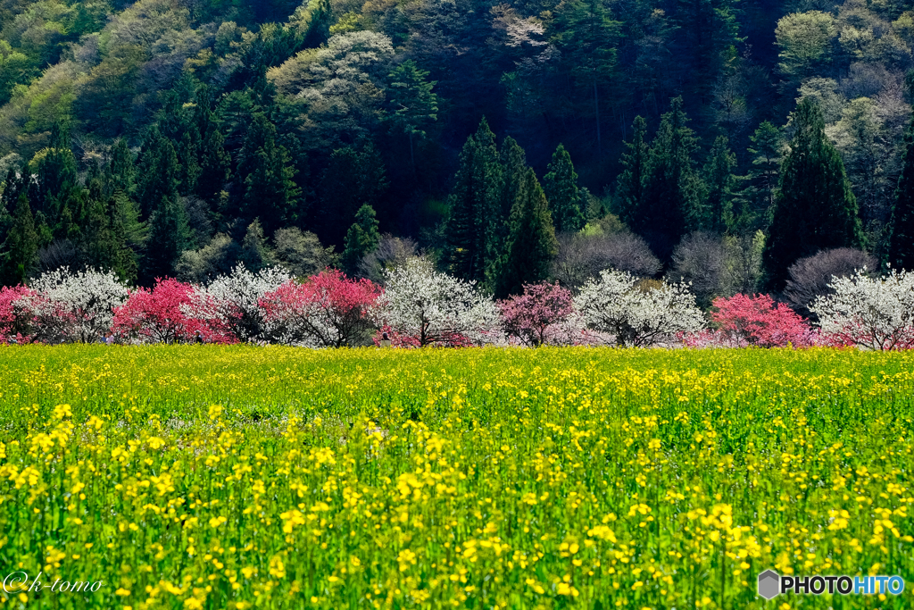 里山