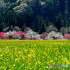 里山