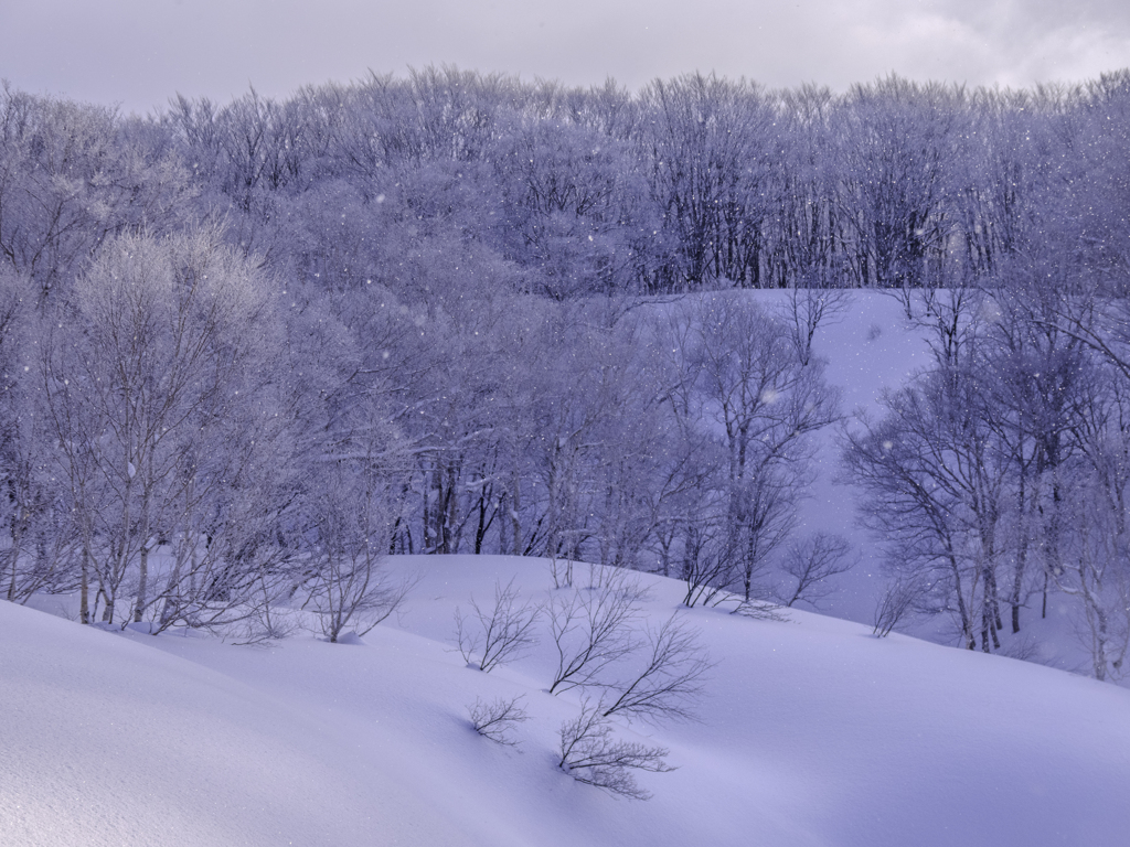 雪景色