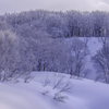 雪景色