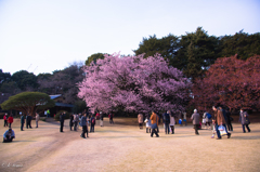 人集う１