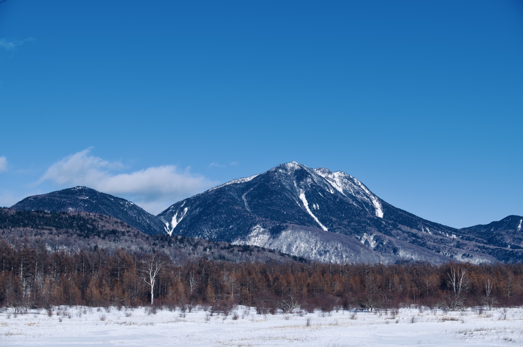 雪原_小田代ヶ原