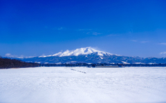 大雪原に浮かぶ斜里岳