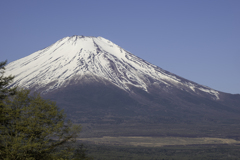 250427_富士山3