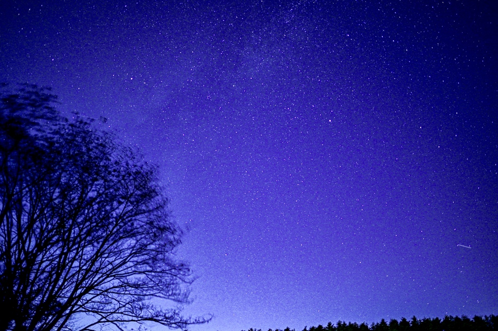 星空の下