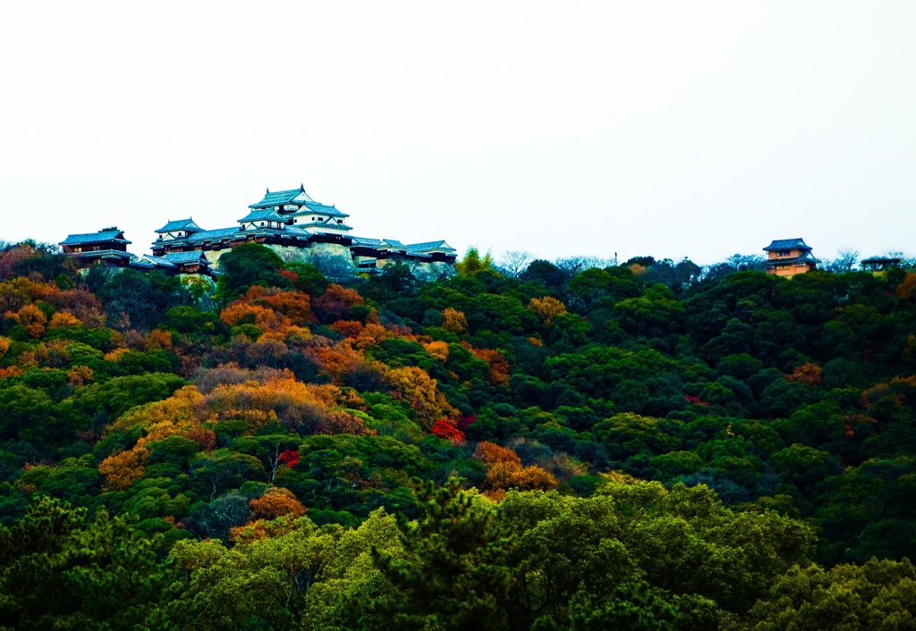晩秋の松山城