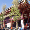 正月の浅草寺