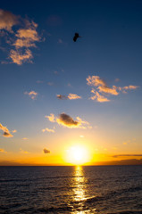 夕陽