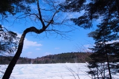 雪に覆われた白駒の池
