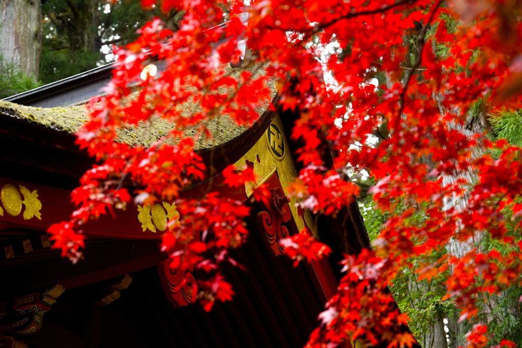 紅に２。