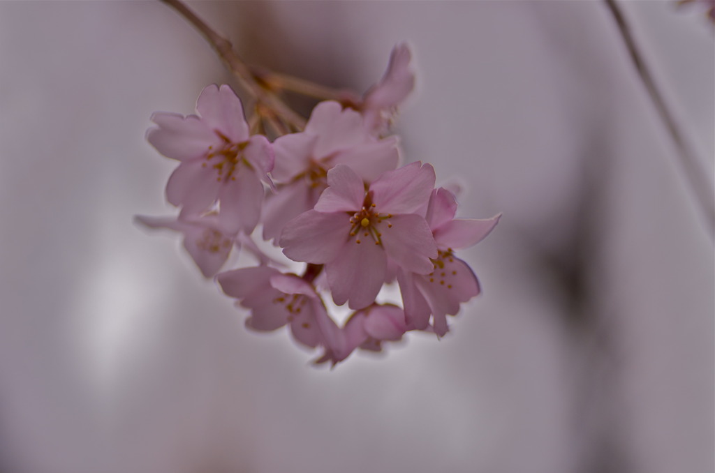 DSC_1609