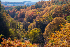 横谷峡の紅葉