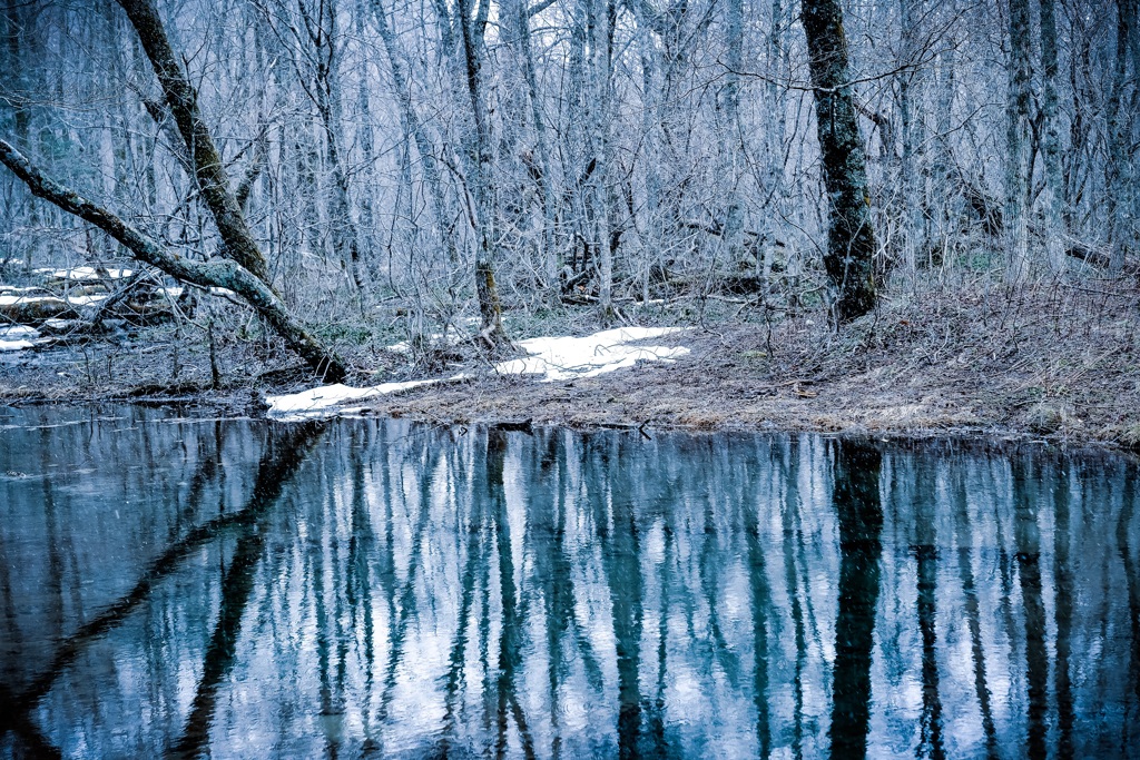 水溜り