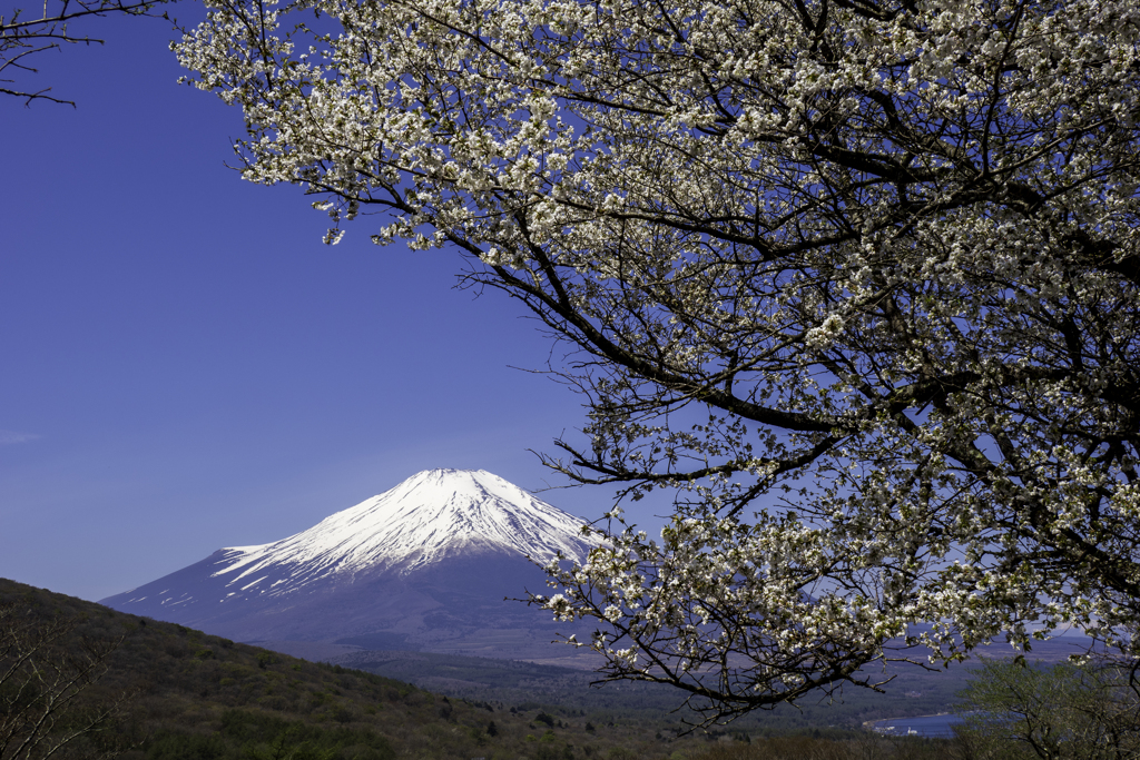 250427_富士山2