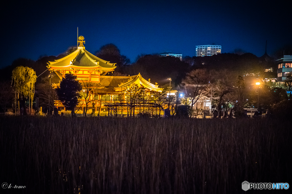 不忍の趣_iso3200