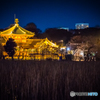 不忍の趣_iso3200