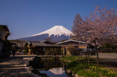 鏡池の富士