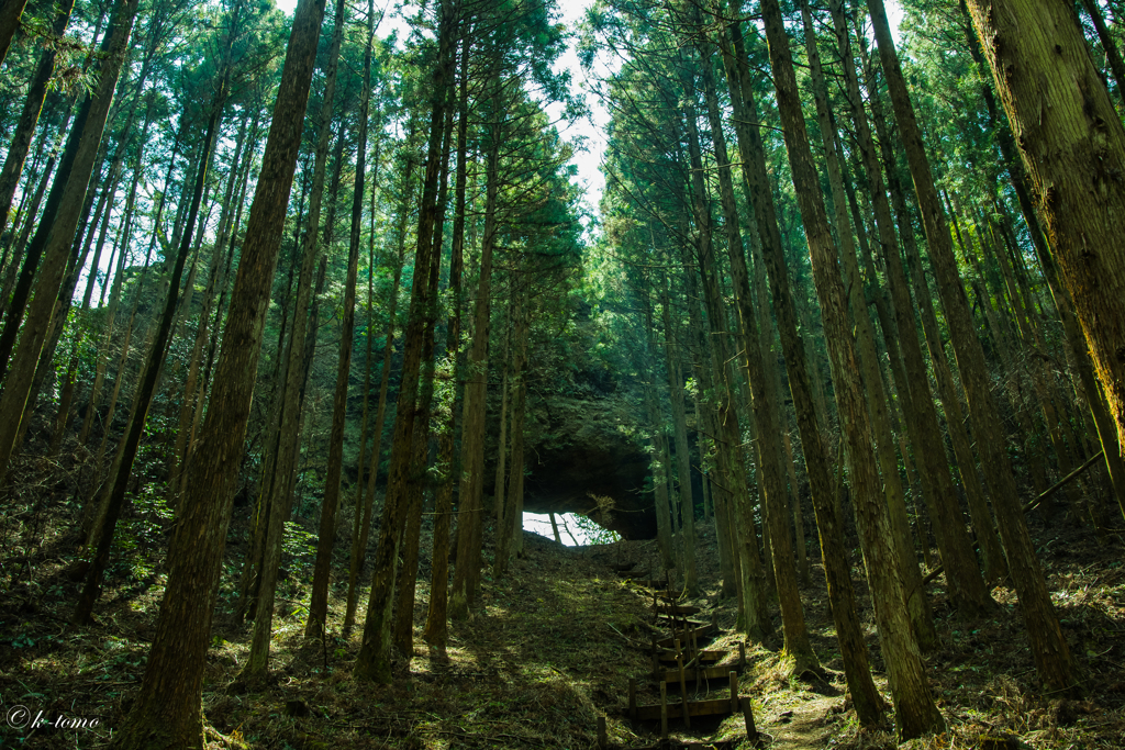 熊野座神社④