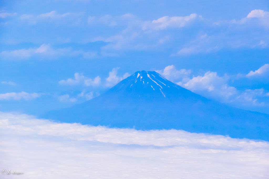 太平洋から発見