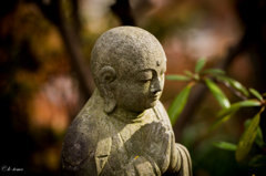 無償の愛情_祈