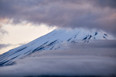 fuji