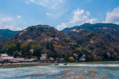 京都の春の思い出②