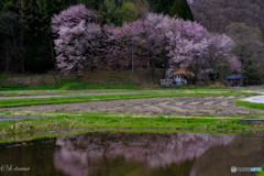 中綱湖にて