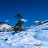 雪上