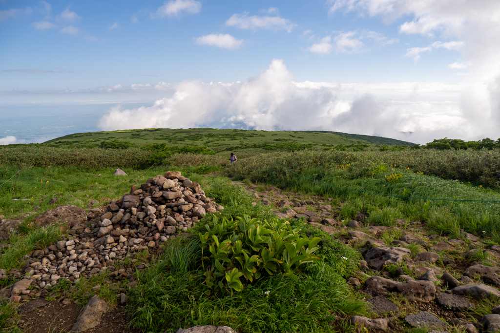 登山道