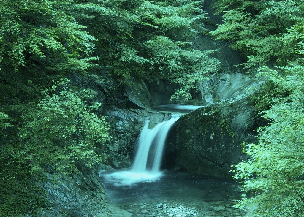 緑の渓谷