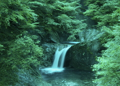 緑の渓谷